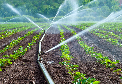 Роль водоудерживающих агентов в устойчивом сельском хозяйстве